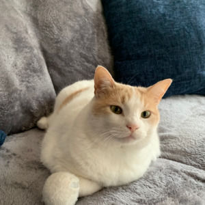 Meet your Posher, Ava